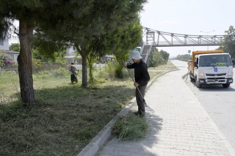 Aydın Kuşadası'nda yeşil seferberlik
