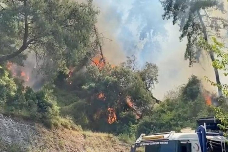 Antalya'da  orman yangını!