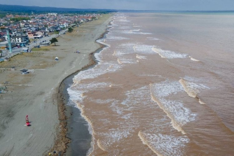 Sakarya'da deniz &ccedil;amura bulandı