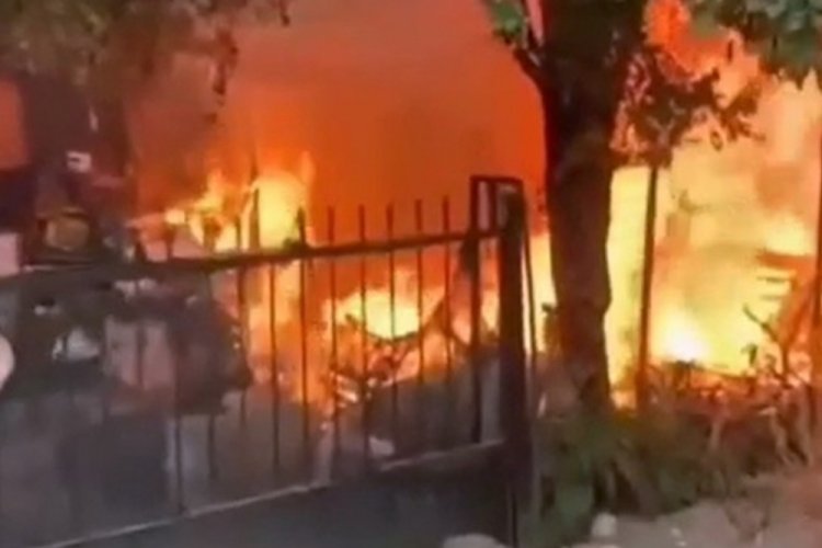 Yanan evden yavru kedi kurtarıldı