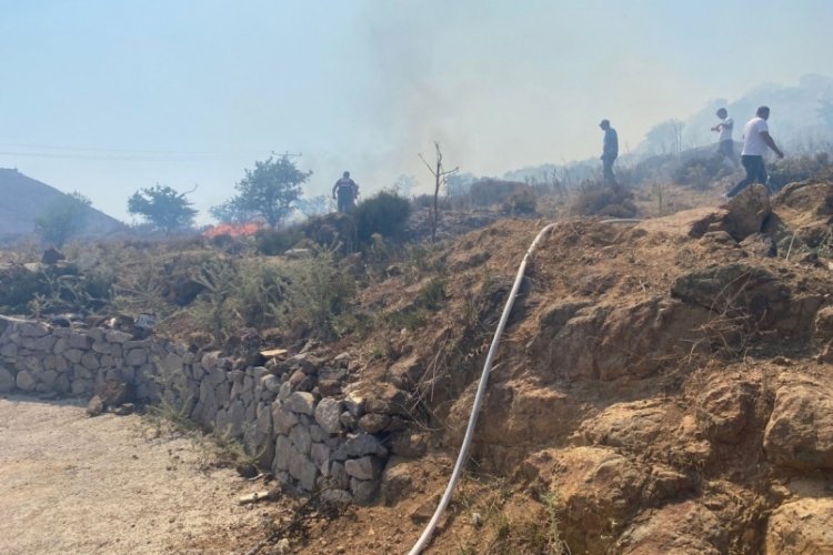 Muğla Bodrum'da otluk ve makilik yangını