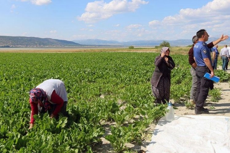Tarlada &ccedil;alışırken omzuna yorgun mermi isabet etti