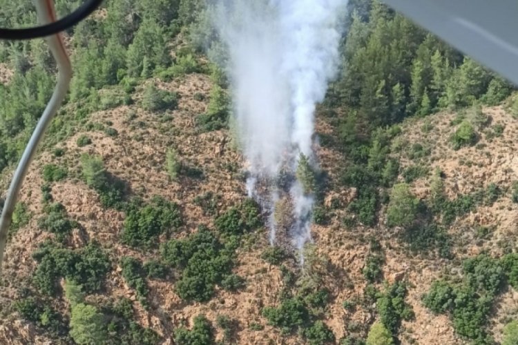 Marmaris'te orman yangını