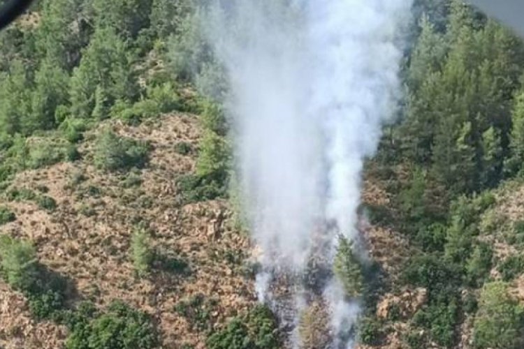Muğla Marmaris'te orman yangını
