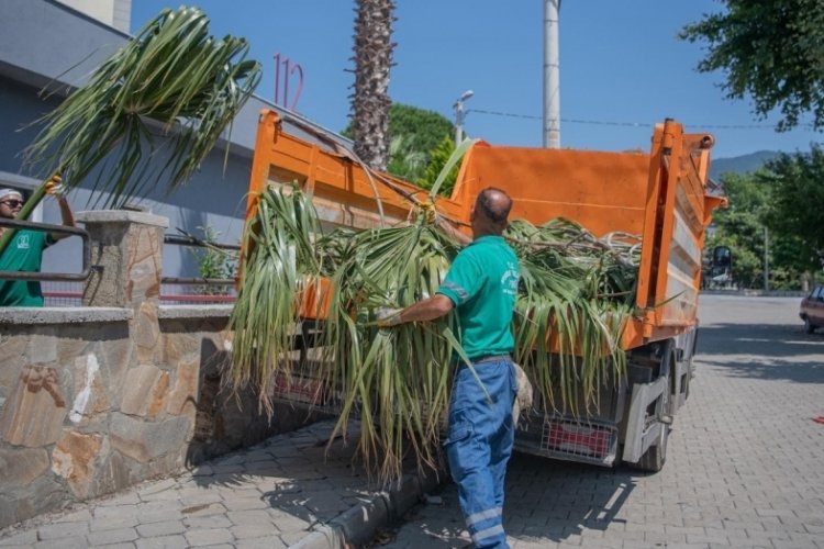Kuşadası Belediyesi'nden bayram temizliği