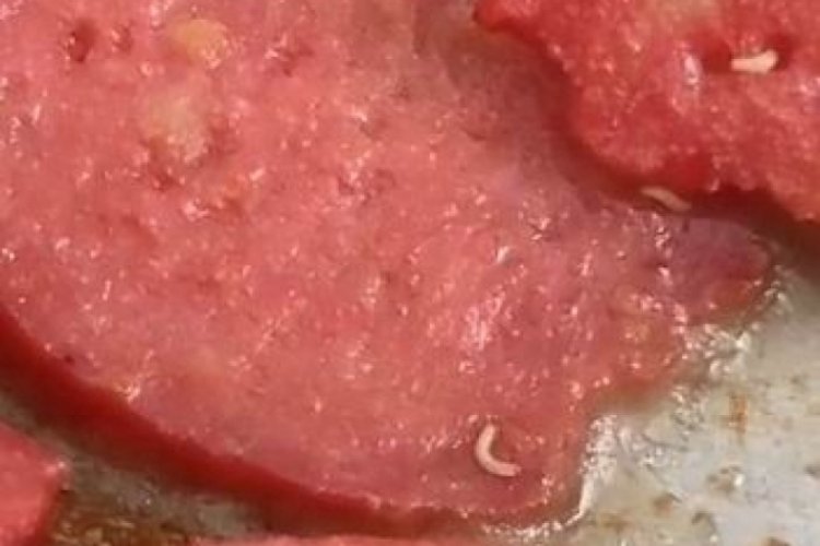 Elazığ'da sucuğun i&ccedil;inden kurt&ccedil;uk &ccedil;ıktı!