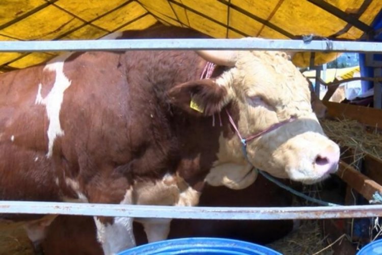 Kurban pazarında alıcıların son g&uuml;n umudu