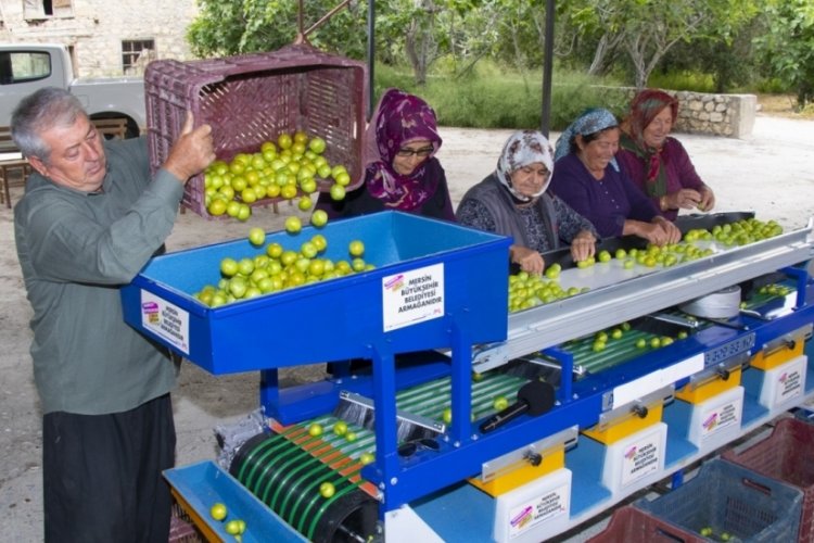 Erik &uuml;reticisine boylama makinesi desteği