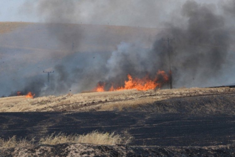 Diyarbakır'da 9 kişinin &ouml;ld&uuml;ğ&uuml; arazi kavgasında tutuklu sayısı 6'ya &ccedil;ıktı