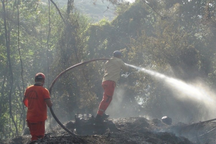 Mersin'de bah&ccedil;e yangını s&ouml;nd&uuml;r&uuml;ld&uuml;