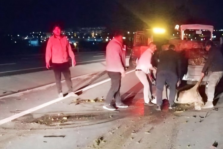 Uşak'ta otomobilin &ccedil;arptığı koyun s&uuml;r&uuml;s&uuml;nde bir&ccedil;ok koyun telef oldu