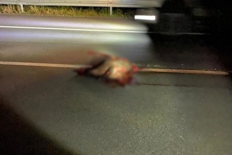 Domuza &ccedil;arpan ara&ccedil; takla attı