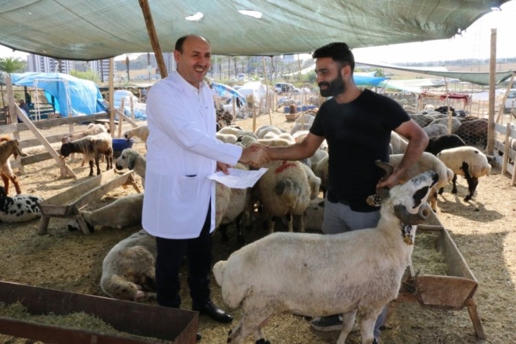 Bayram &ouml;ncesi Adana'ya 30 bin hayvan getirildi