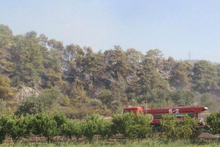 &Ccedil;anakkale'de ormanlara girişler 15 Eyl&uuml;l'e kadar yasaklandı