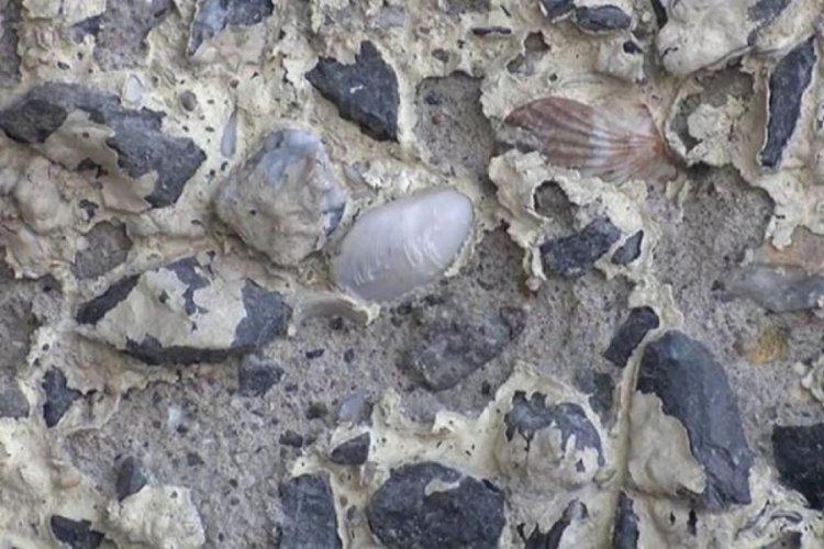 İstanbul'un 'korku' k&ouml;pr&uuml;s&uuml;! İncelemeye alındı