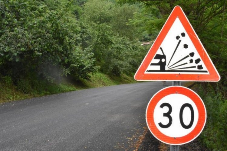 Ordu'daki '&Ouml;l&uuml;m yolu'nda kazalarda &ouml;lenlerin yakınları kurban kesti!