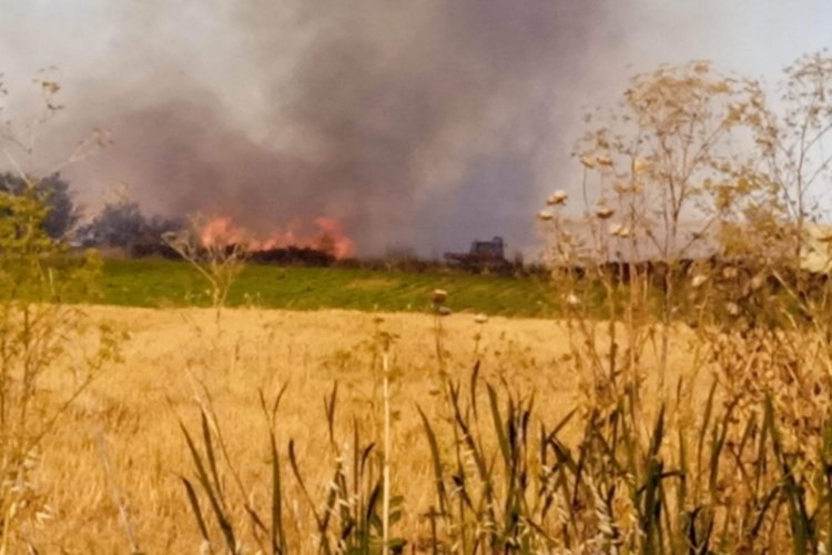 Kırklareli'nde tarla yangını
