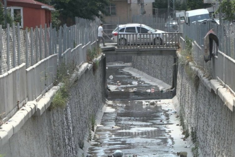 İstanbul'da sivrisinek tedirginliği!