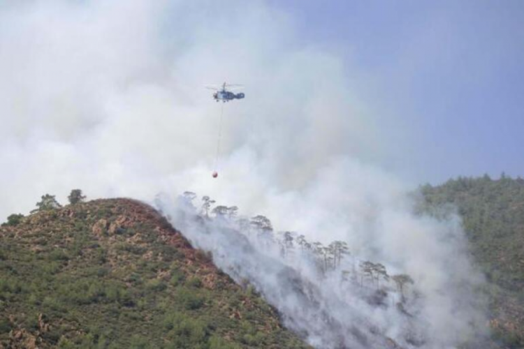 Ormanda yakılan cesetle ilgili g&ouml;zaltına alınan ş&uuml;pheli serbest!