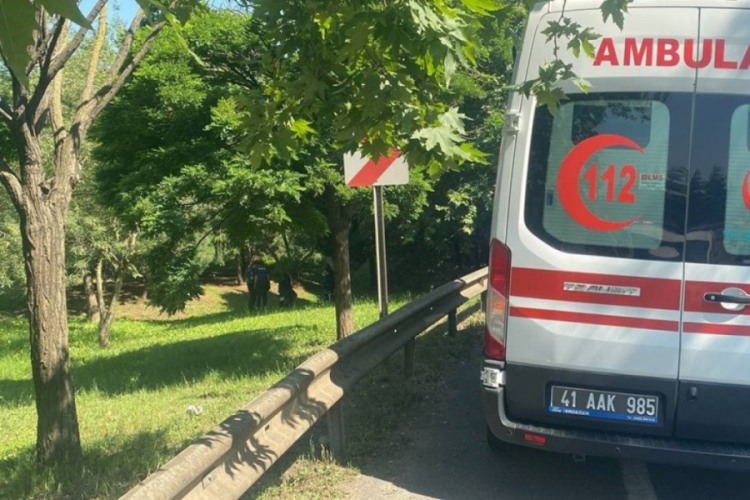Kocaeli'de ş&uuml;pheli &ouml;l&uuml;m! Ağaca asılı halde bulundu