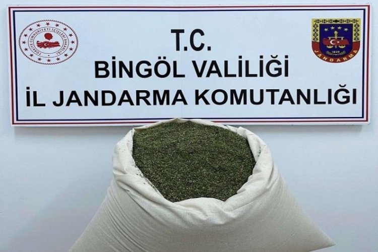 Bing&ouml;l'de 16 kilo esrar ele ge&ccedil;irildi