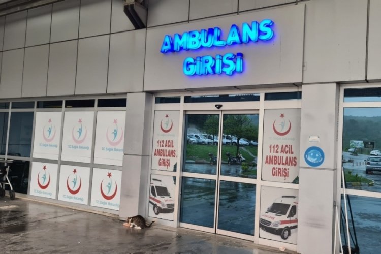 Zonguldak'ta balkonda dengesini kaybeden kadın 1. kattan aşağı d&uuml;şt&uuml;