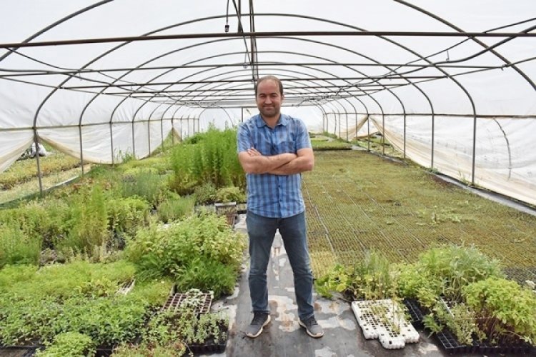 Bursa'da tıbbi ve aromatik bitkiler &uuml;reterek &uuml;lke ekonomisine değer katıyorlar