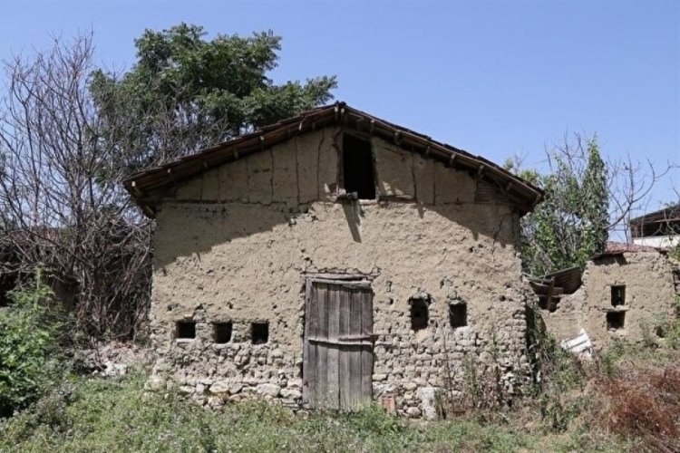 Bursa'da 150 yıllık arı evi yenileniyor