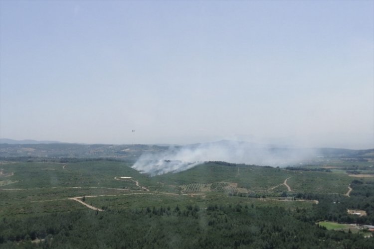 İzmir'de orman yangını! M&uuml;dahale ediliyor