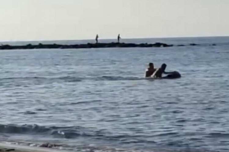Sakarya'da plajdakileri rahatsız etti! Denizin ortasında meydan dayağı yedi
