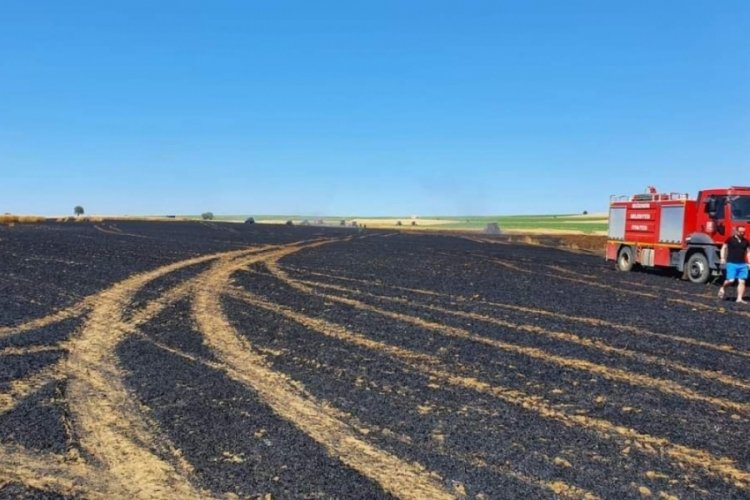 Edirne'de 30 d&ouml;n&uuml;m buğday arazisi yandı!