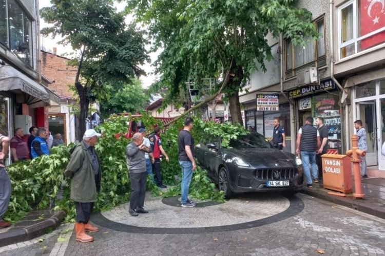 Kastamonu'da kırılan ağa&ccedil; dalı, l&uuml;ks otomobilin &uuml;zerine d&uuml;şt&uuml;