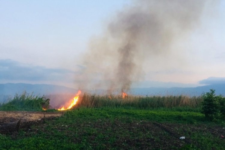 Bursa İznik G&ouml;l&uuml; kenarındaki sazlıkları yine ateşe verdiler...