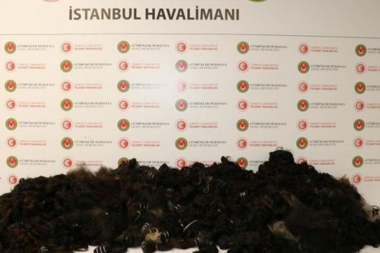 İstanbul Havalimanı'nda 93 kilo ger&ccedil;ek insan sa&ccedil;ı yakalandı!