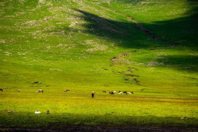 Ardahan'ın renkli doğası g&ouml;renleri hayran bırakıyor