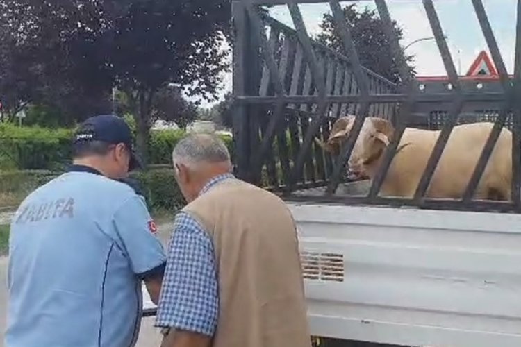 Bursa'da mahalle arasında kurban satışına izin yok