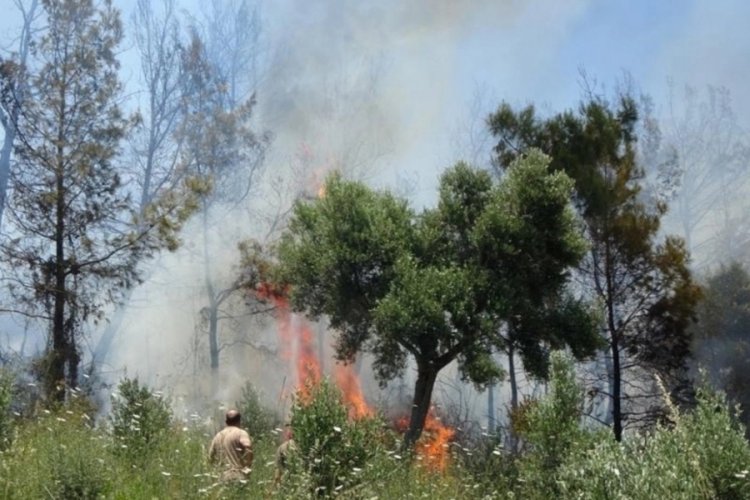 Antalya'da valilik duyurdu, 31 Ekim'e kadar yasaklandı