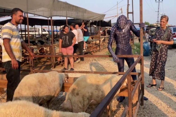 Adana'da şaşırtan kurban pazarlığı! &Ouml;r&uuml;mcek adam kost&uuml;m&uuml; ile gitti