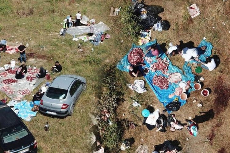 İstanbul'da boş arsalar kesimhaneye d&ouml;nd&uuml;!