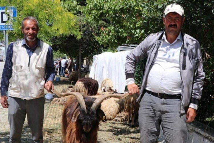Van'da bayramın ilk g&uuml;n kurbanlıkların fiyatı d&uuml;şt&uuml;