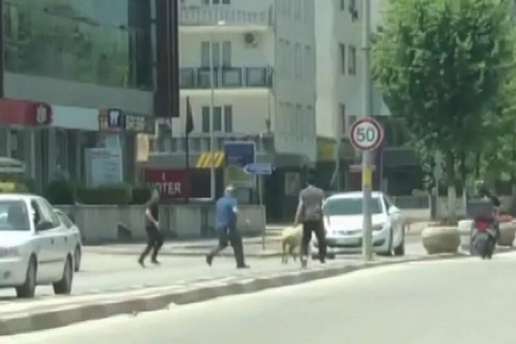 Bursa'da ka&ccedil;ak koyun trafiği birbirine kattı