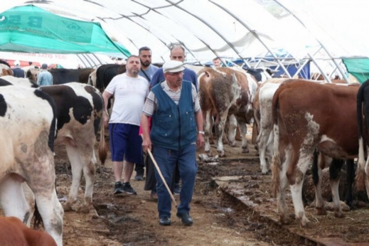 Kurban Bayramı'nın ikinci g&uuml;n&uuml;nde vatandaşların indirim umudu