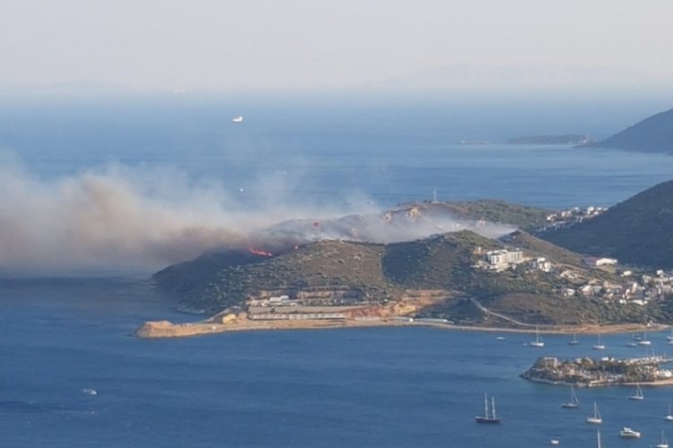 Muğla Dat&ccedil;a'da orman yangını &ccedil;ıktı