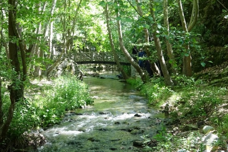 Yılda 40 bin kişi Bursa'da bulunan kanyonu g&ouml;rmek i&ccedil;in yollara d&uuml;ş&uuml;yor