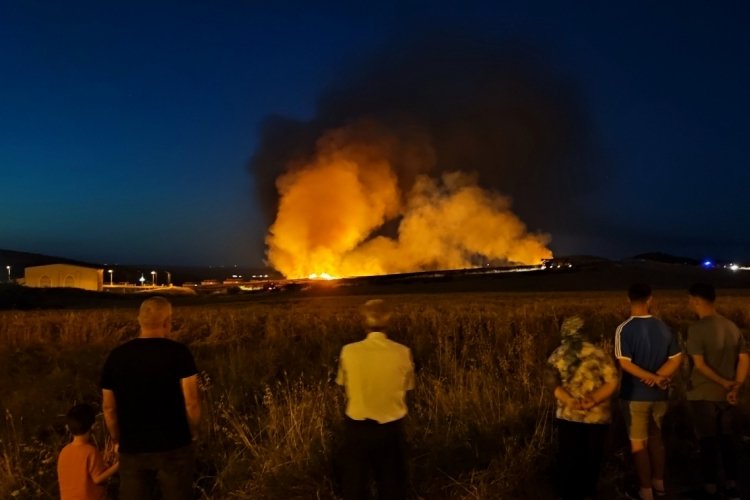 Edirne Keşan'da 100 d&ouml;n&uuml;ml&uuml;k buğday tarlası k&uuml;le d&ouml;nd&uuml;