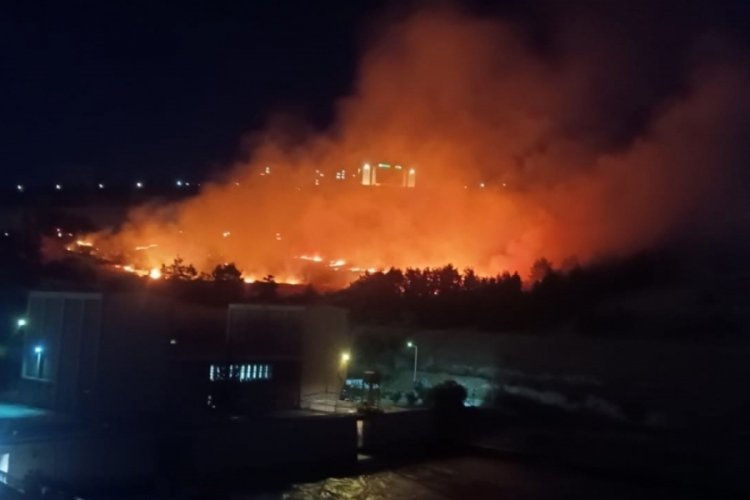 Şanlıurfa'da ormanlık alanda yangın