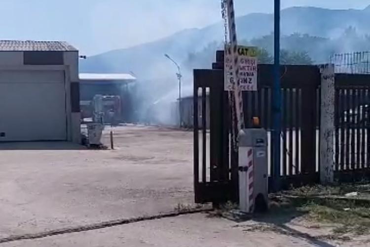 Bursa'da orman yangını!
