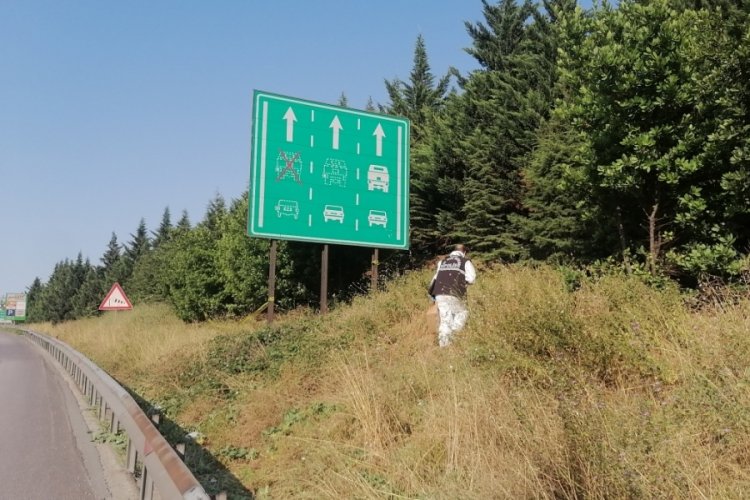 Kocaeli'nde ormanlık alanda ceset bulundu