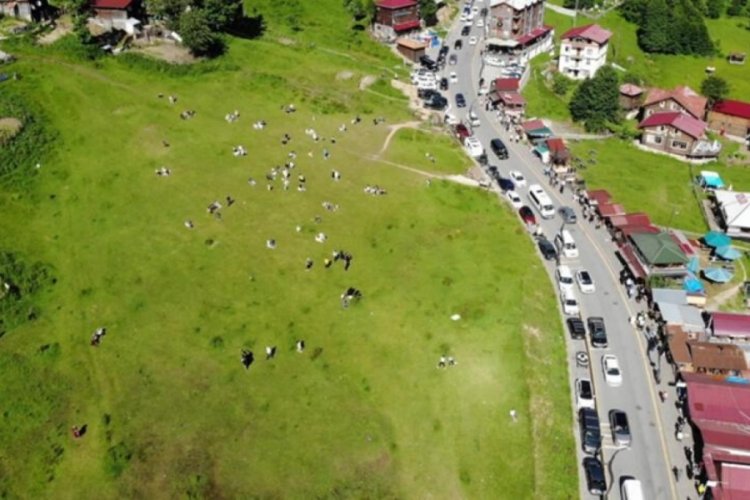 Ayder Yaylası'nı Kurban Bayramı tatili boyunca 100 bine yakın turist ziyaret etti