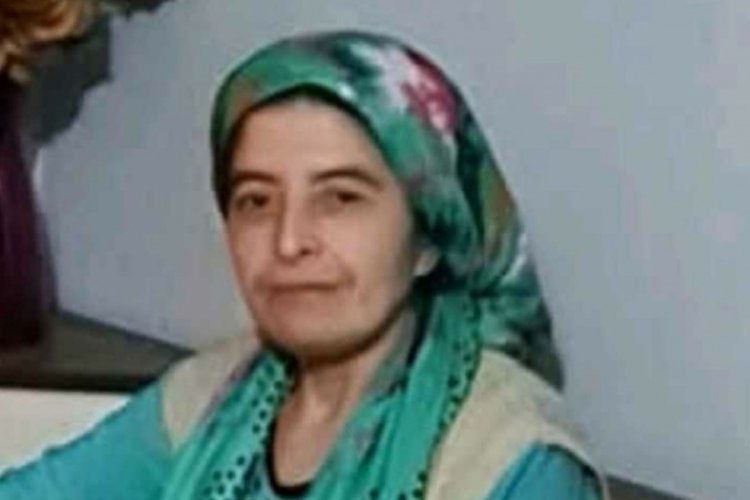 Bolu'da otomobilin &ccedil;arptığı kadın hastane yolunda hayatını kaybetti